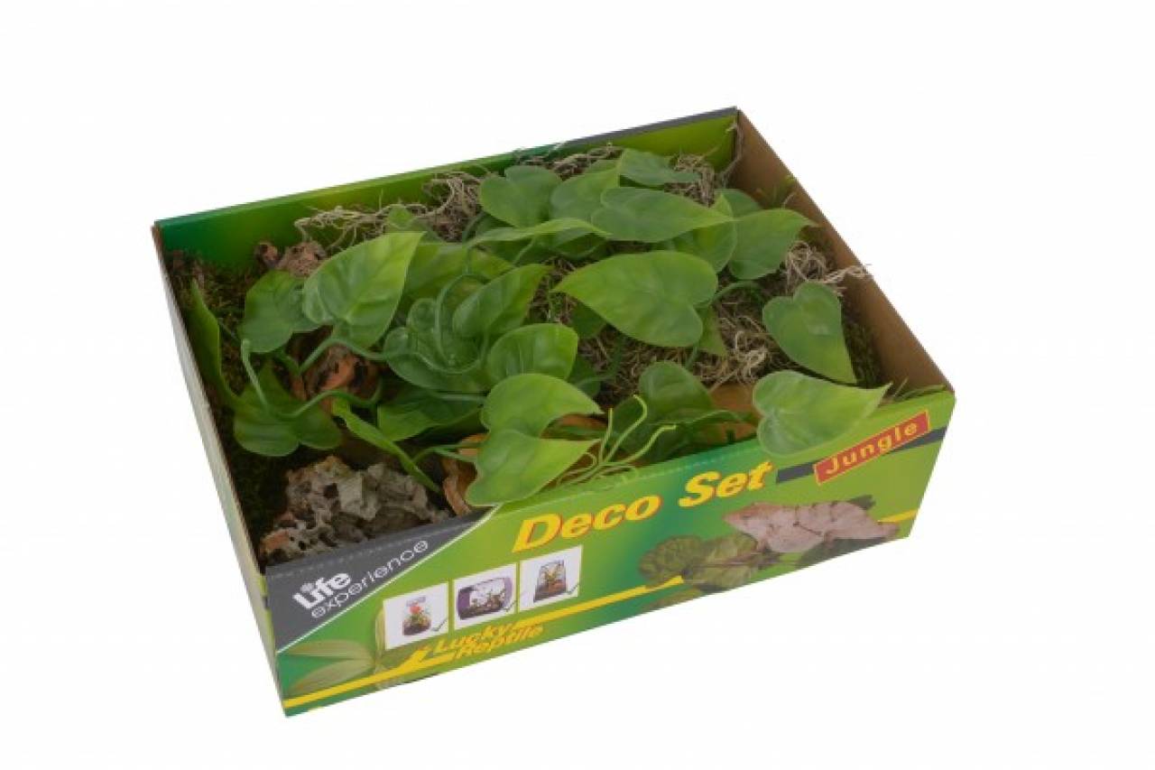 Life Experience-Deco Set