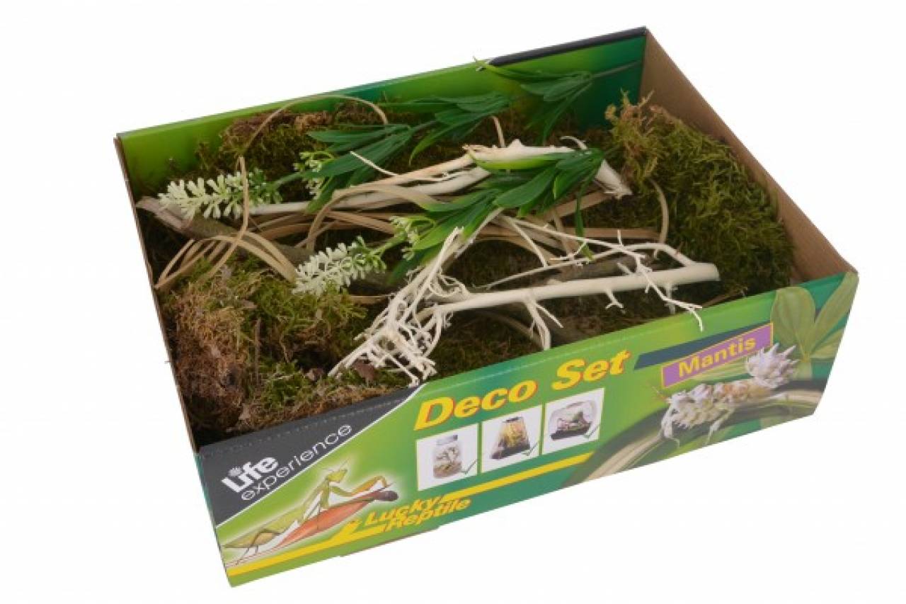 Life Experience-Deco Set