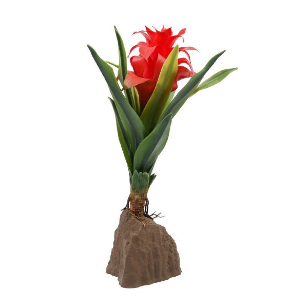 Bromelien