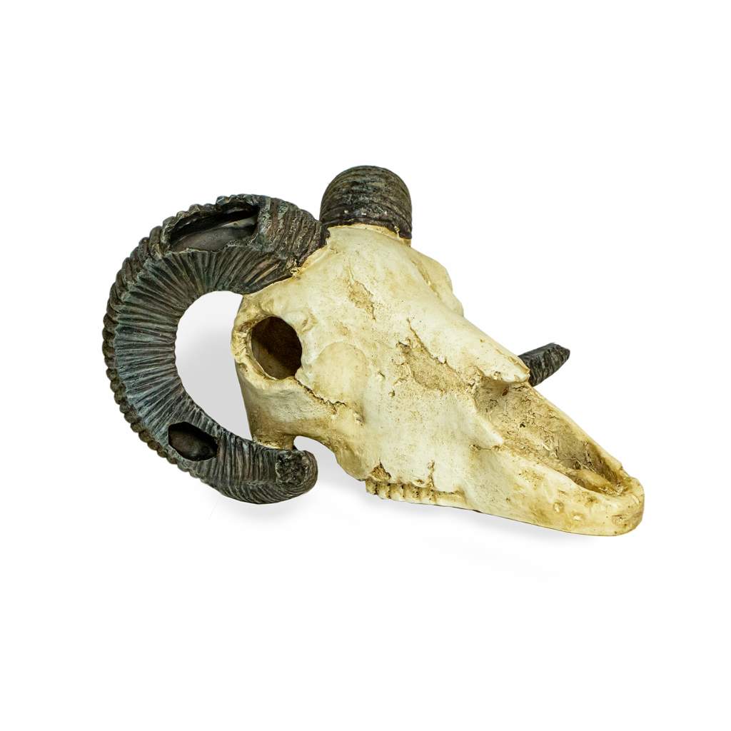 Lucky Reptile Deco Skull Ram (Widderschädel)