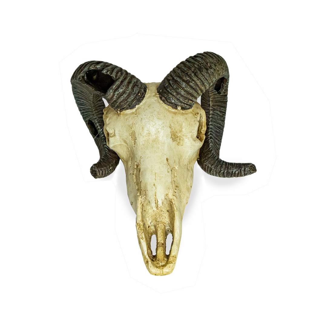 Lucky Reptile Deco Skull Ram (Widderschädel)