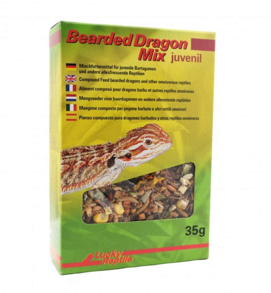 Lucky Reptile Bearded Dragon