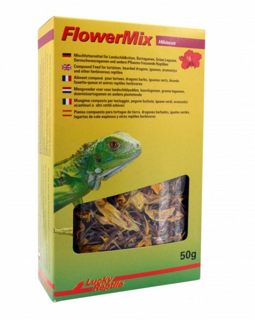 Lucky Reptile - Flower Mix