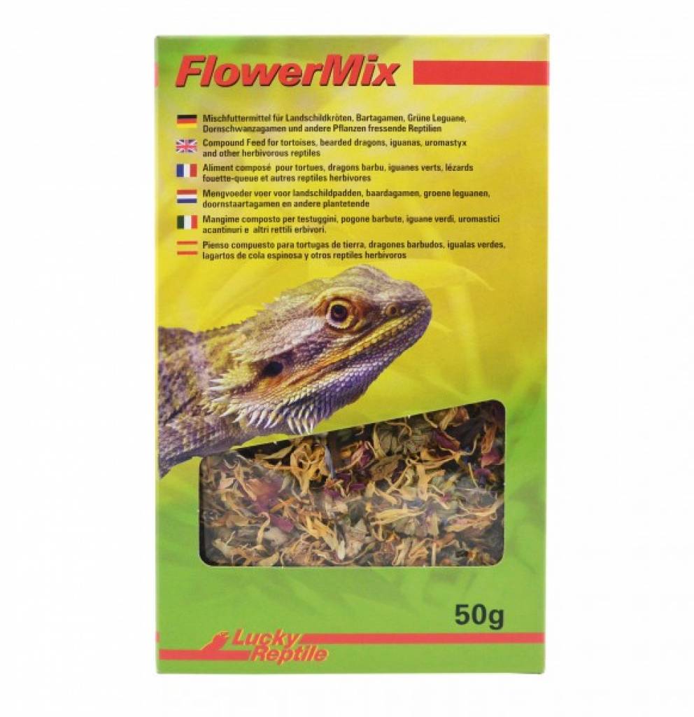 Lucky Reptile - Flower Mix