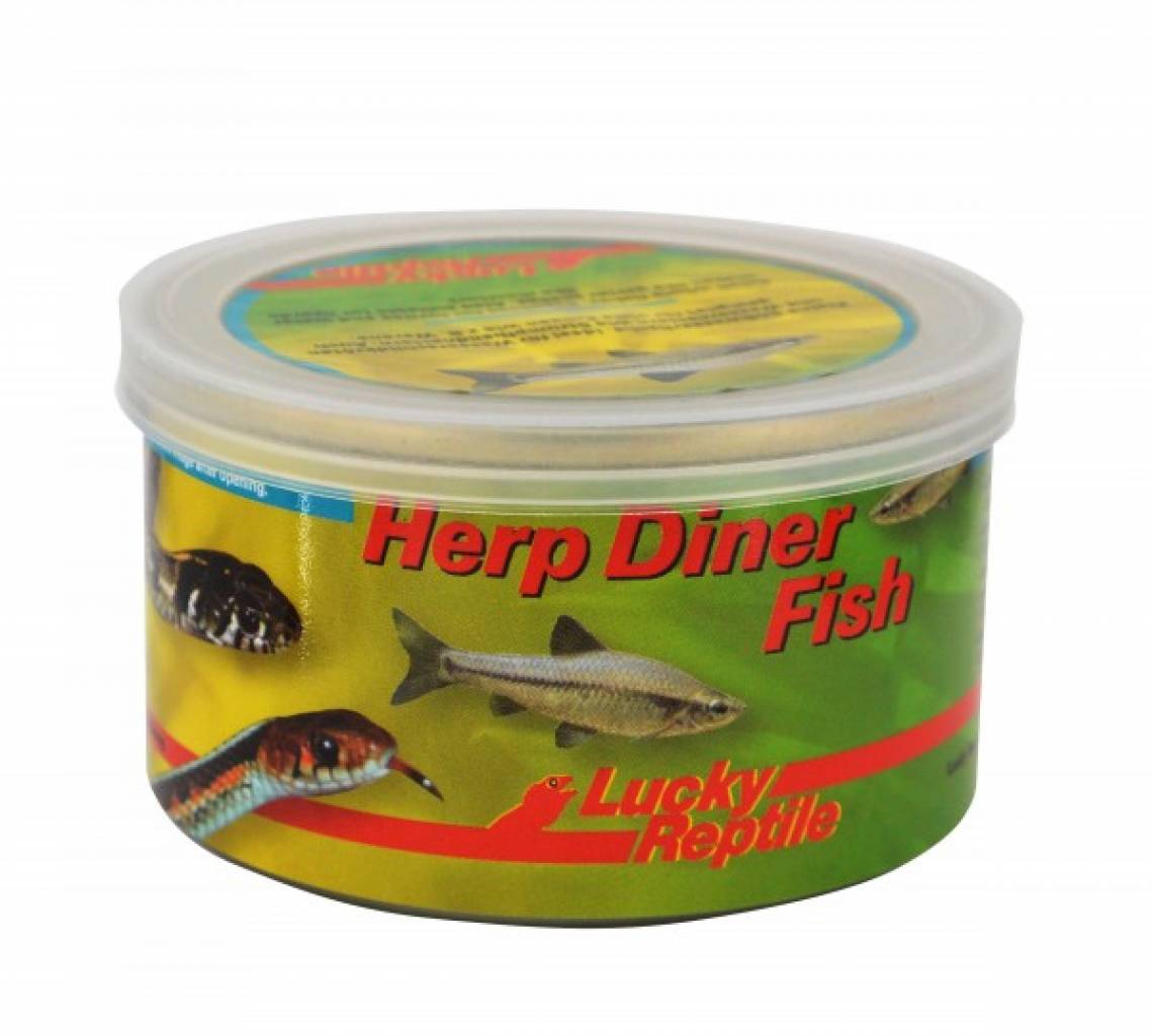 Lucky Reptile Herp Diner Fish