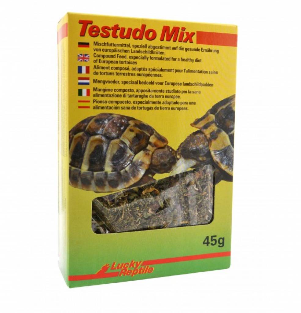 Lucky Reptile Testudo Mix