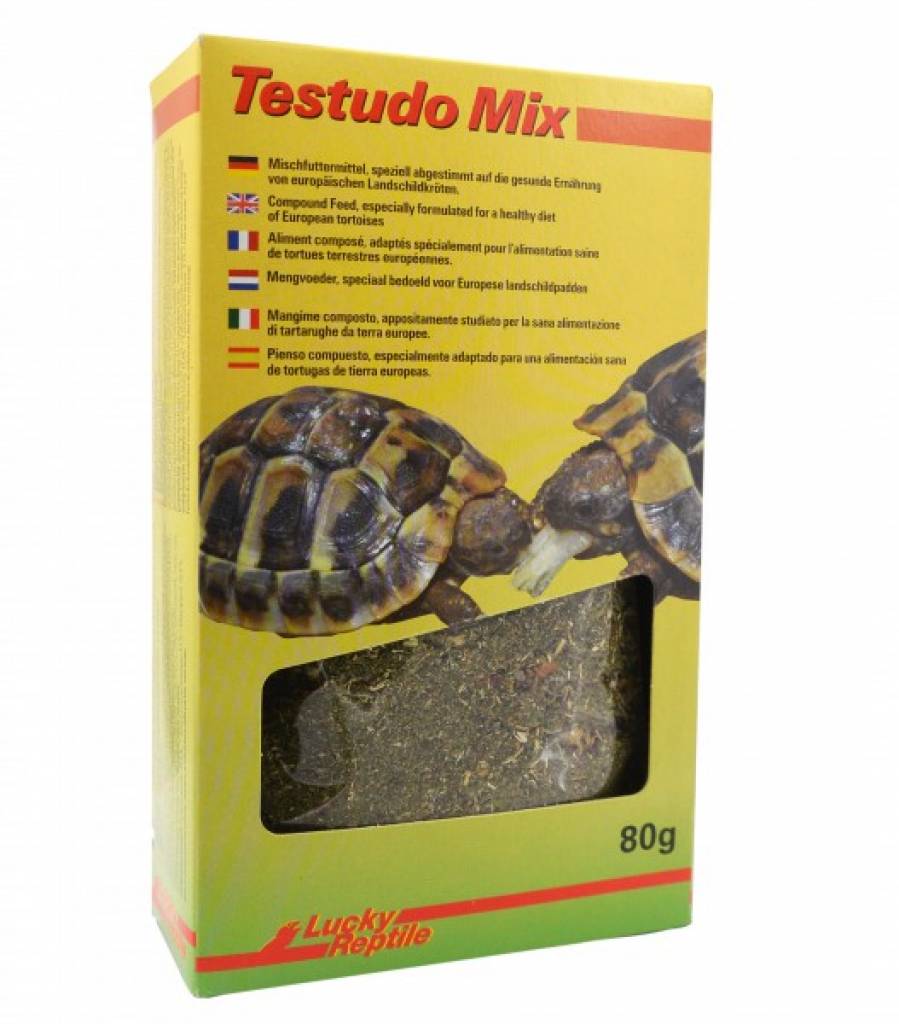 Lucky Reptile Testudo Mix
