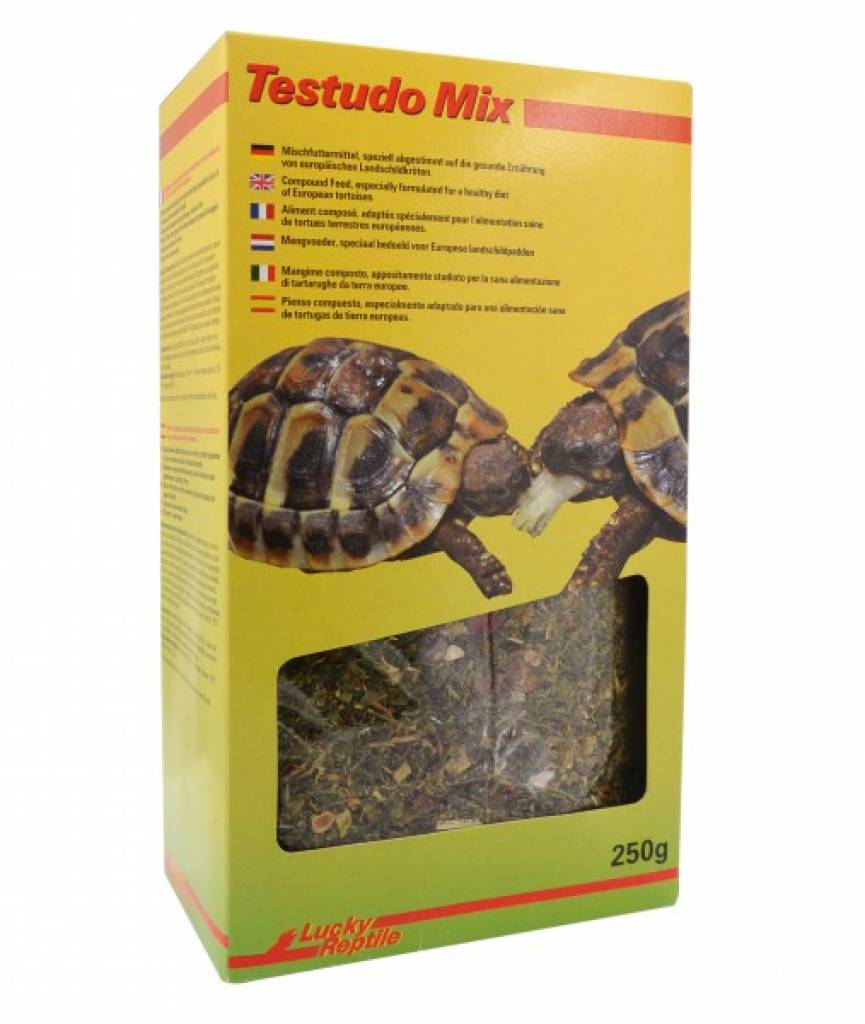 Lucky Reptile Testudo Mix