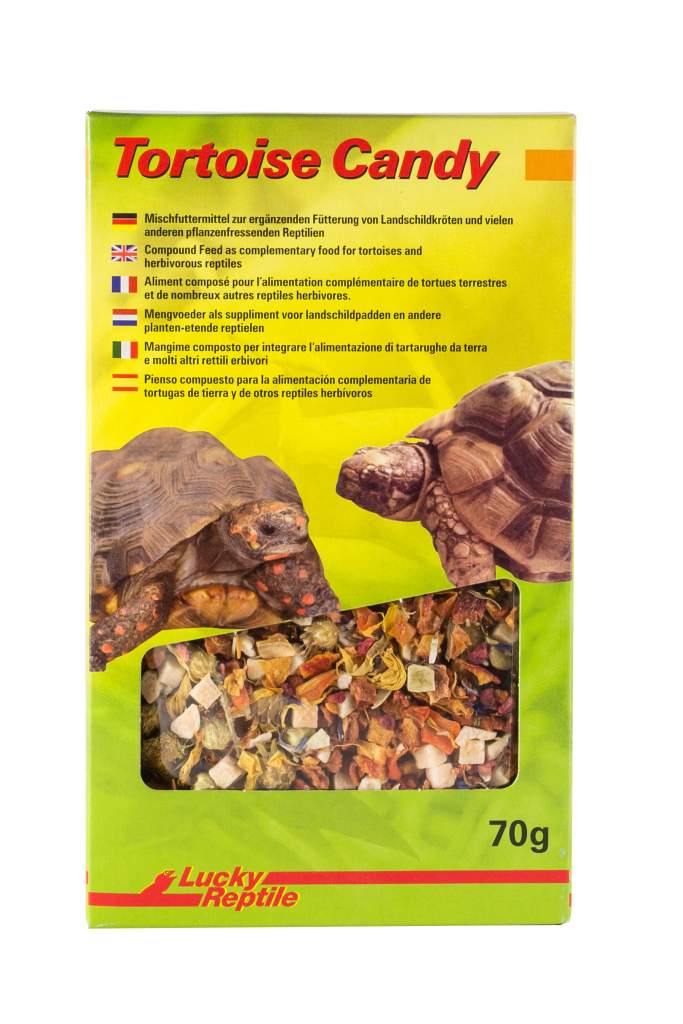 Lucky Reptile Tortoise Candy