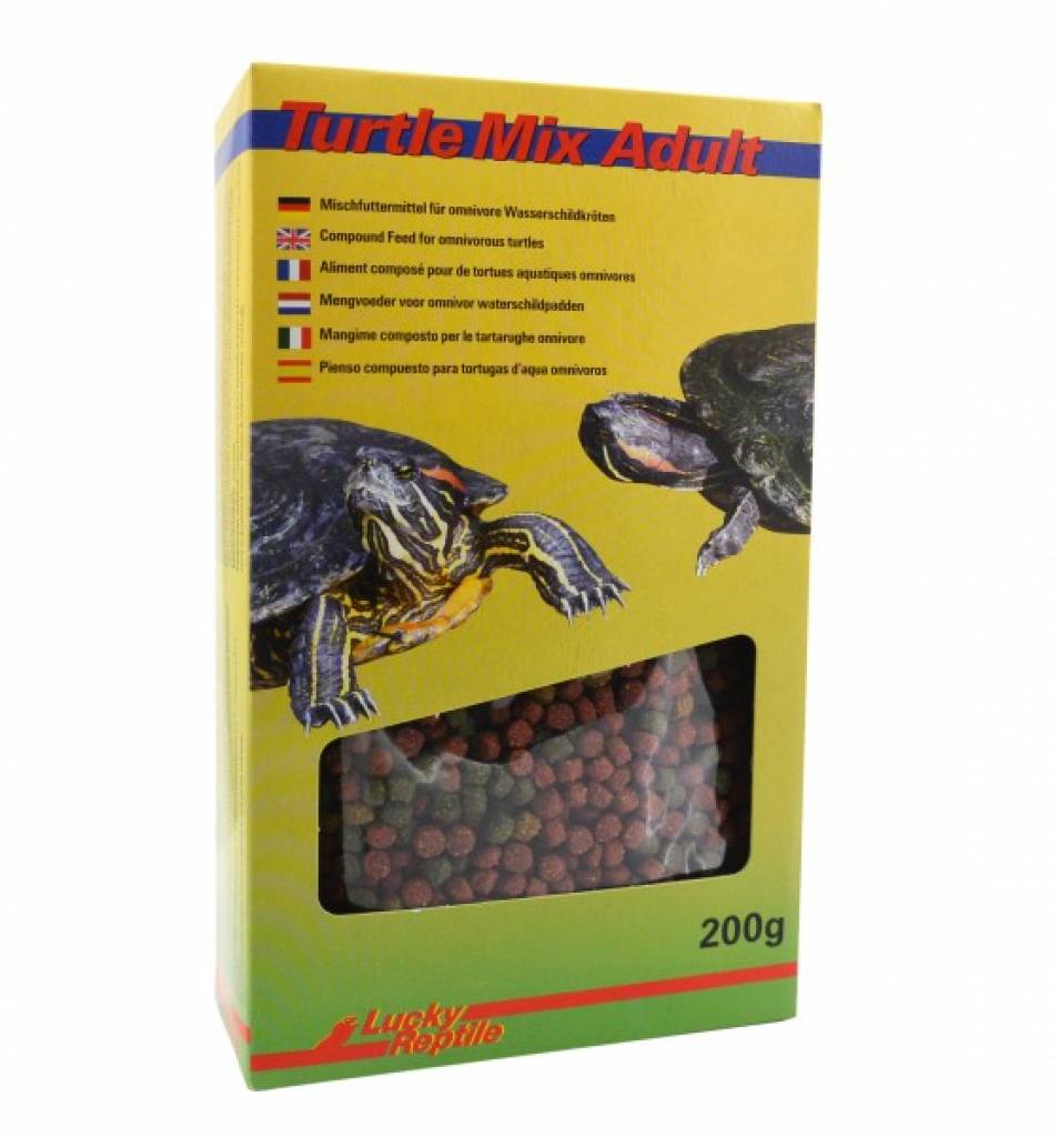 Lucky Reptile Turtle Mix Adult