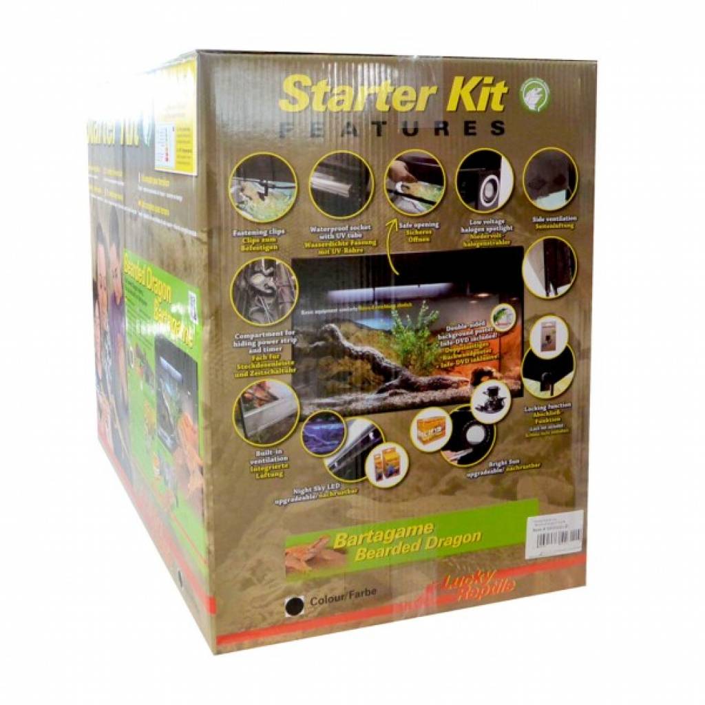 Lucky Reptile Starter Kit "Bartagame"