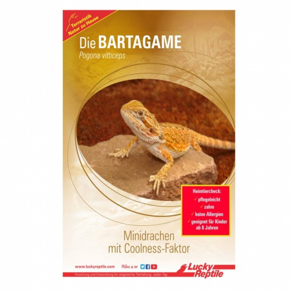 Lucky Reptile Starter Kit "Bartagame"