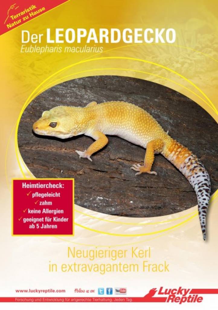 Lucky Reptile Starter Kit "Leopardgecko"