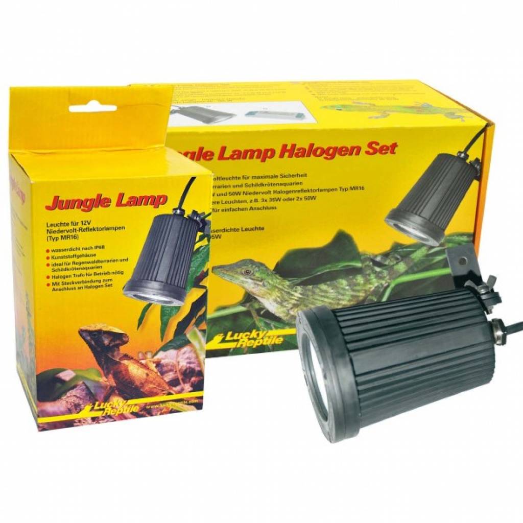 Lucky Reptile Jungle Lamp