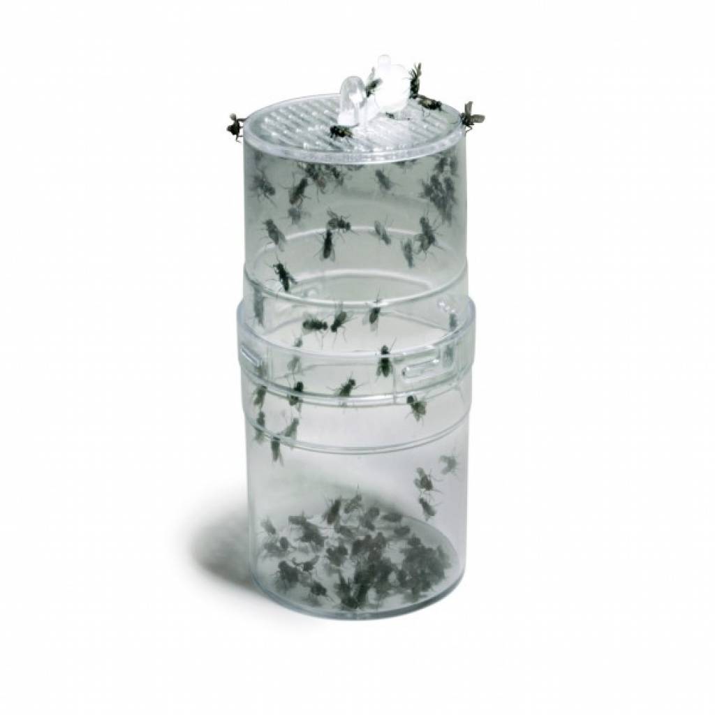 Lucky Reptile Fly Feeder