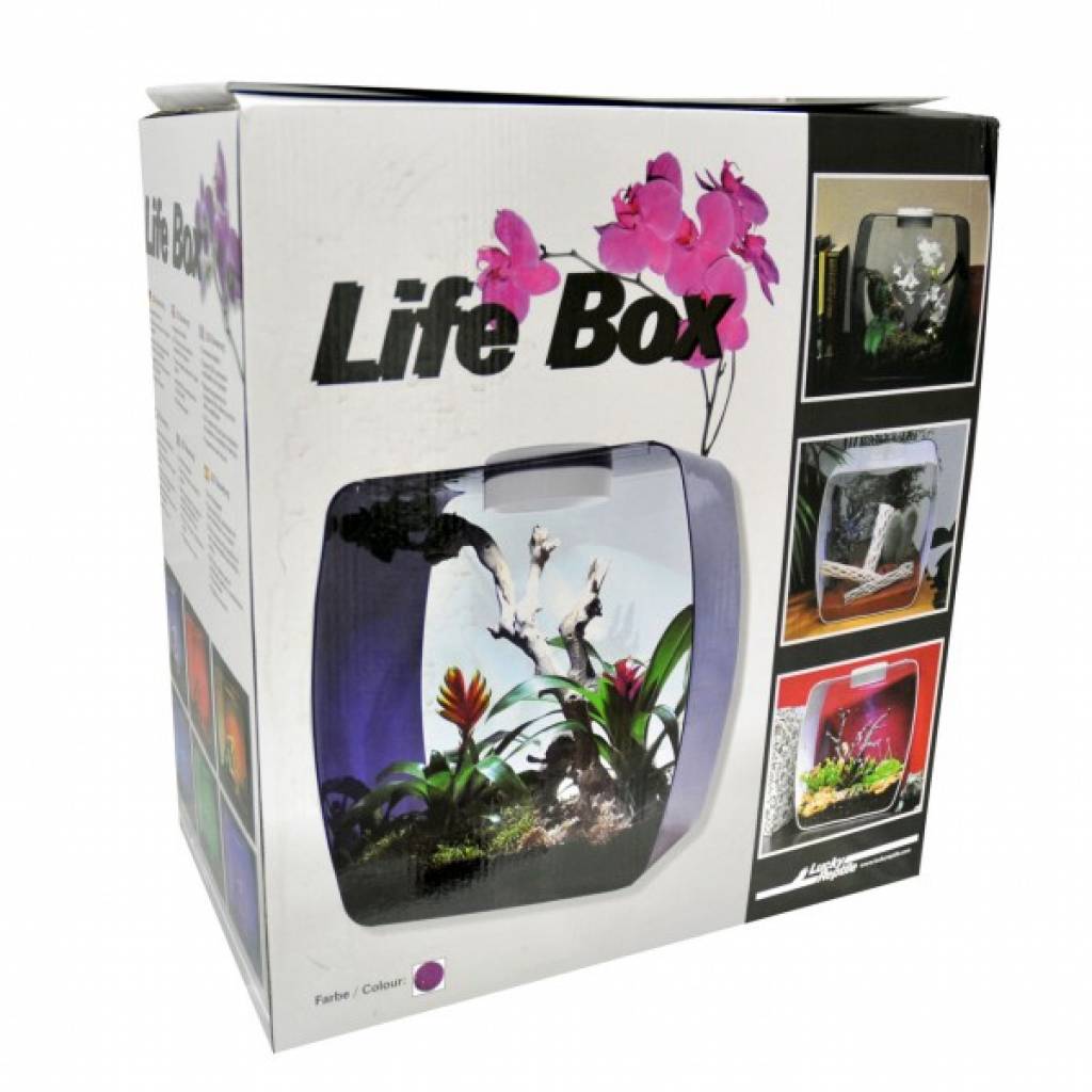 Lucky Reptile Life Box