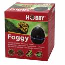 Foggy