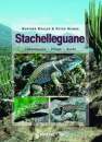 Stachelleguane