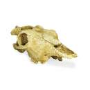 Lucky Reptile Deco Skull Cow (Kuhschädel)