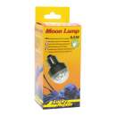 Lucky Reptile Moon Lamp E27 Lampe mit Mondlicht LED